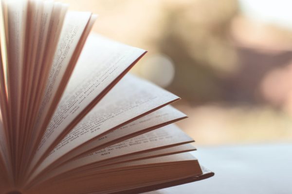 8 albums jeunesse pour fêter le printemps – Idées lectures nature et saisons
