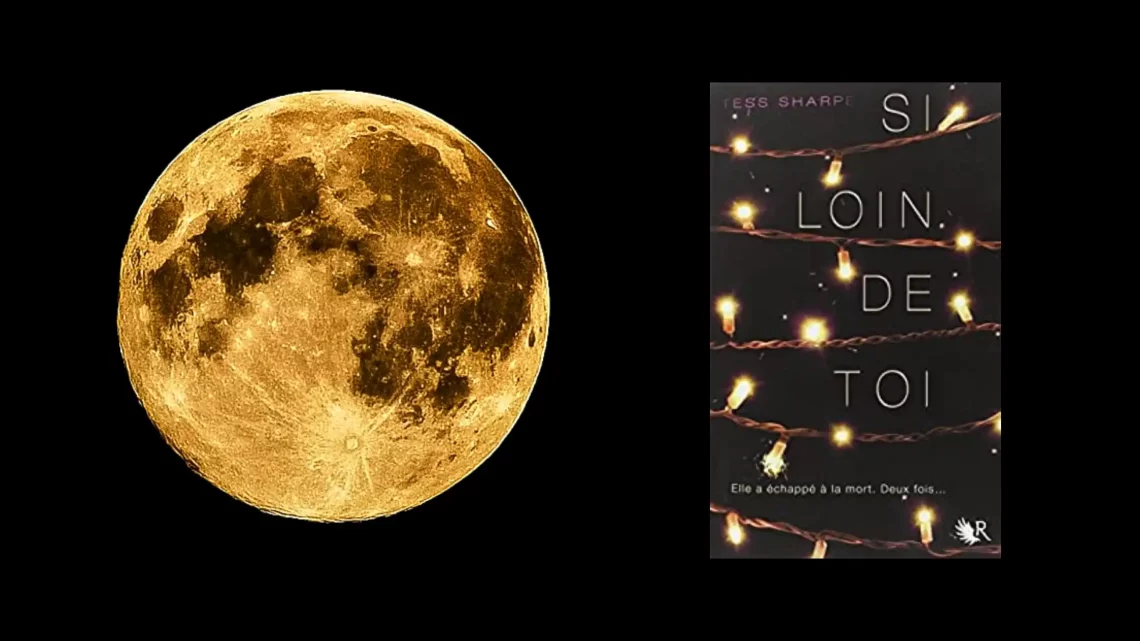 Chronique du thriller Young adult Si loin de toi, de Tess Sharpe. A découvrir !