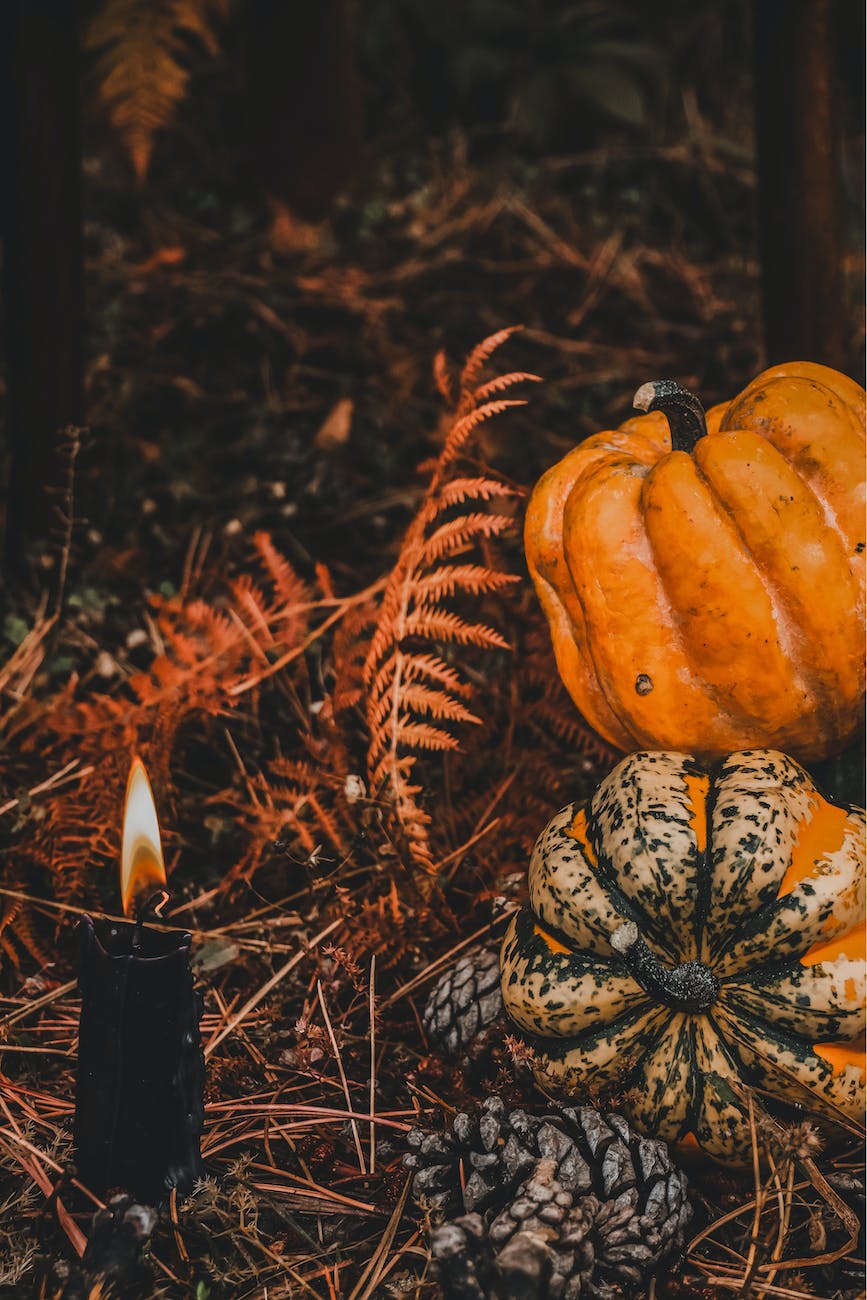pumpkins and pine cones next to lit black candle on the forest floor