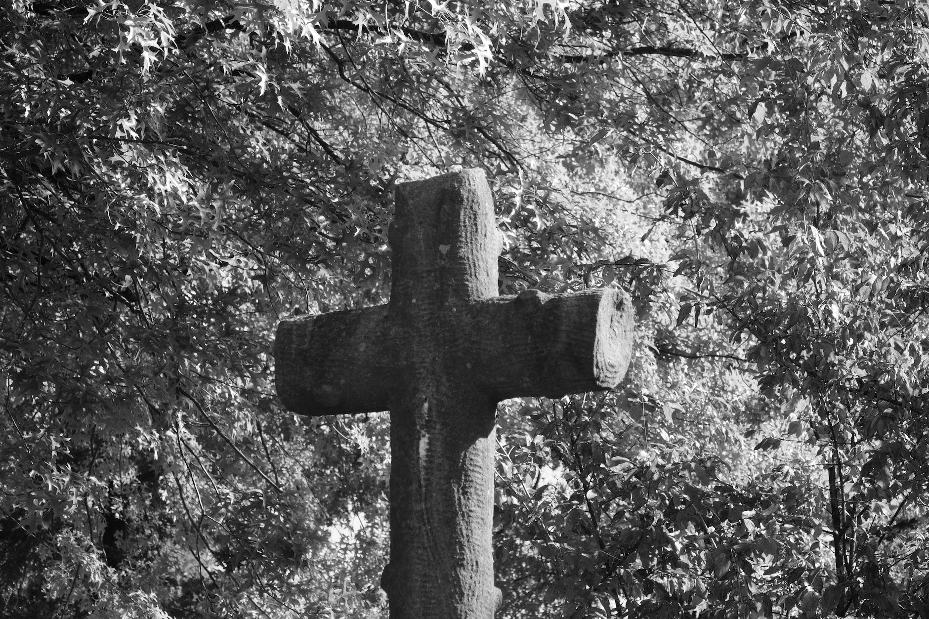 wood black and white landscape people