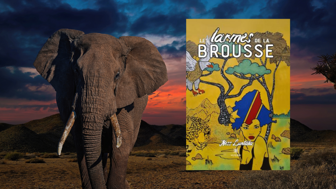 Les larmes de la brousse, Ness Luntala (Le Lys Bleu Editions)