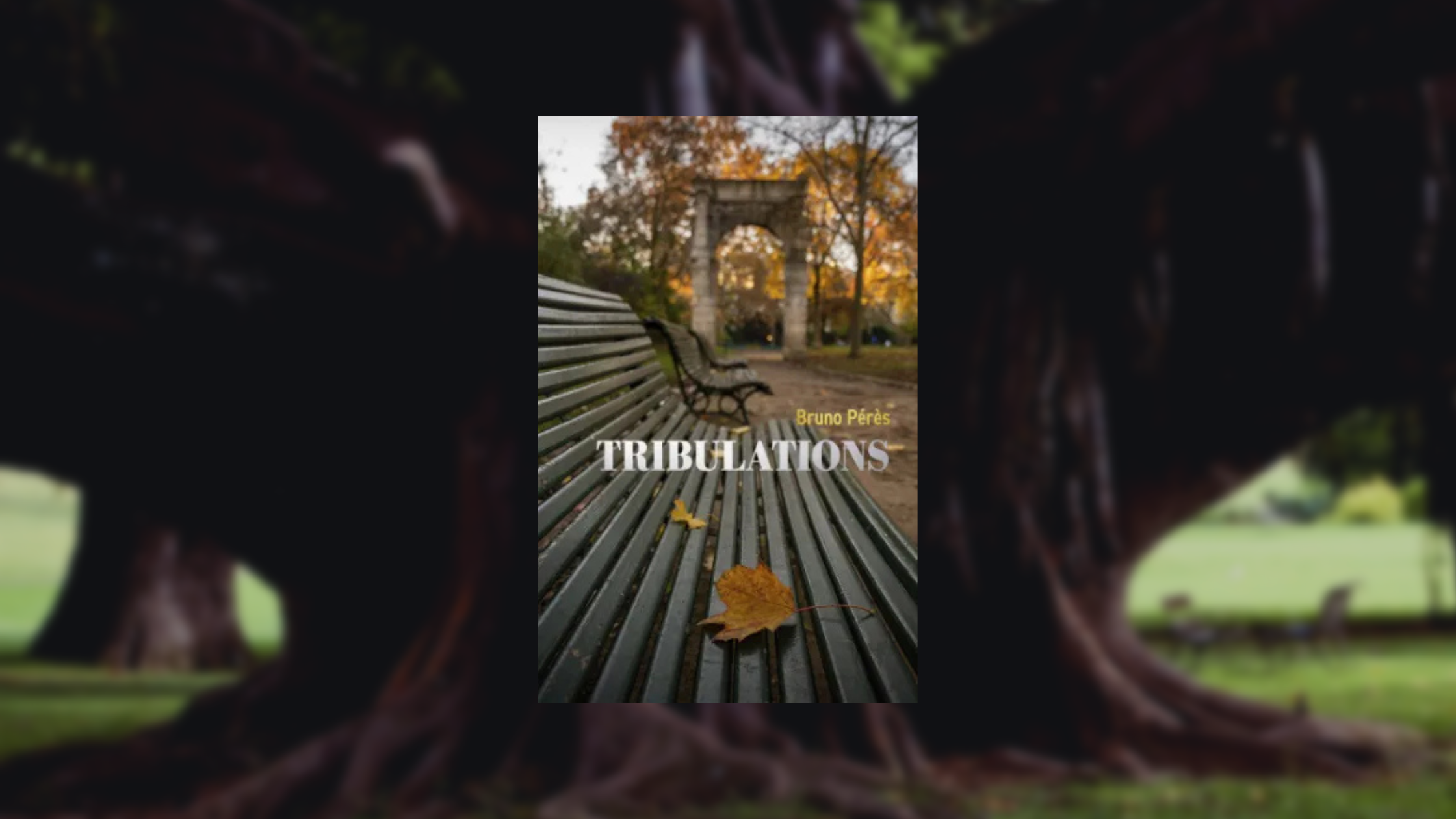 Couverture du roman Tribulations de Bruno PERES. On y voit un banc en métal dans un parc aux couleurs automnales, avec des feuilles mortes posées dessus. En arrière-plan, une arche en pierre se détache sur un ciel doré. Le titre du livre est écrit en blanc, en lettres capitales, avec le nom de l’auteur en jaune.