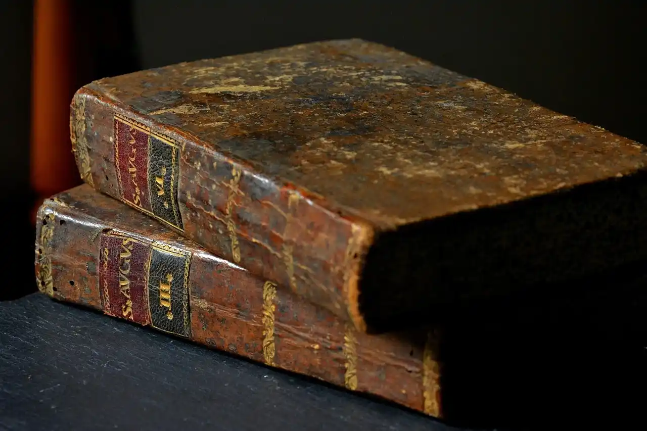 Deux livres anciens posés l’un sur l’autre, symbolisant la richesse du patrimoine écrit, en lien avec les services pour les pros culturels et littéraires. Charlène Malandain, rédactrice web culturelle et blogueuse littéraire.