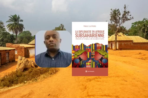 Interview Ness Luntala : histoire et enjeux de la cyberdiplomatie en Afrique subsaharienne et en République du Congo.
