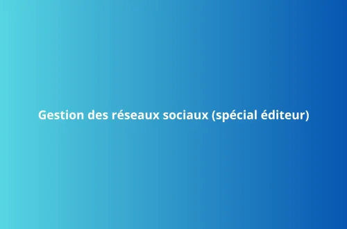 La gestion des réseaux sociaux pour maison d'édition : service de Charlène Malandain, rédactrice web pour éditeurs